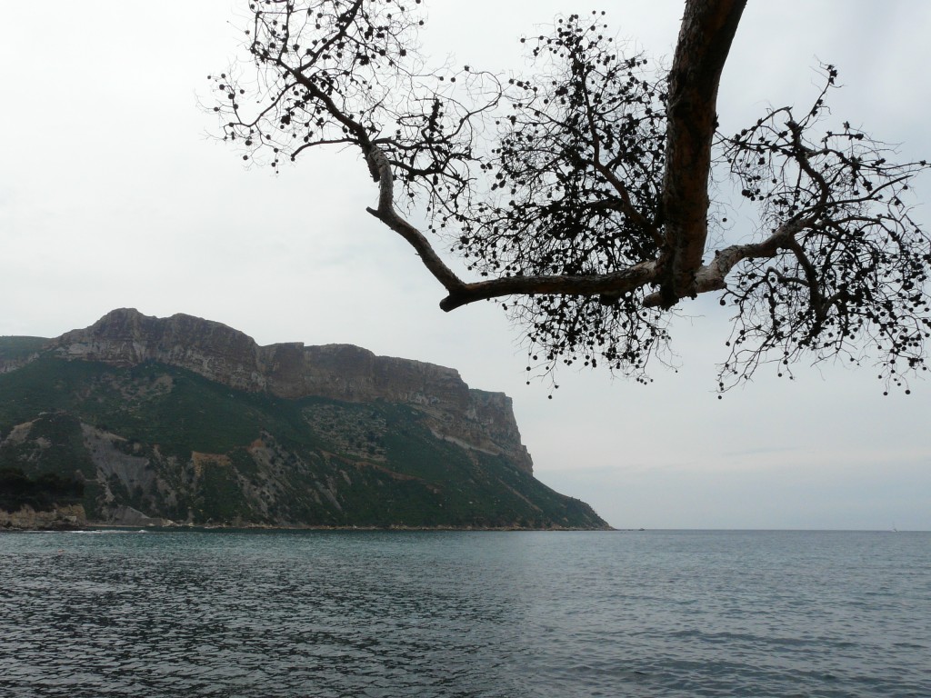 Cassis, 31-05-08, 10-55.jpg